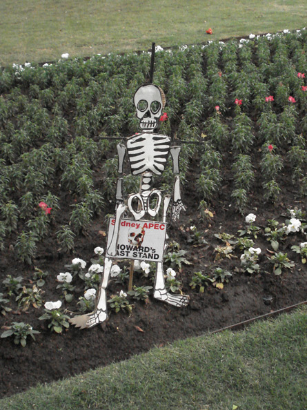 skeleton.jpg